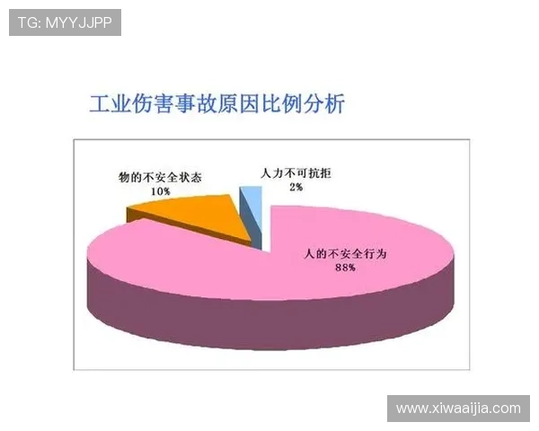 开云真人版全站登录安全验证流程详解，保障账号信息安全无忧