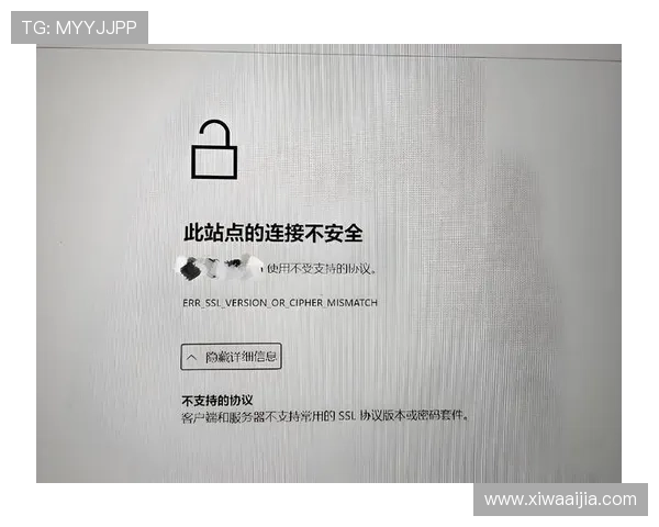 开云网页版安全设置的重要性及其对用户信息保护的影响分析