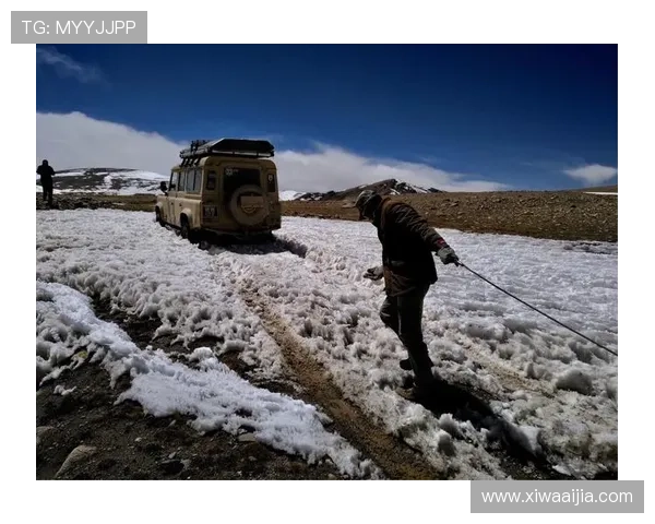 开云网页登陆操作指南：详细步骤帮助你快速顺利登录开云平台