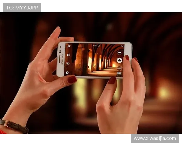 开云ky官方人口数据分析及其对游戏运营策略的影响详解