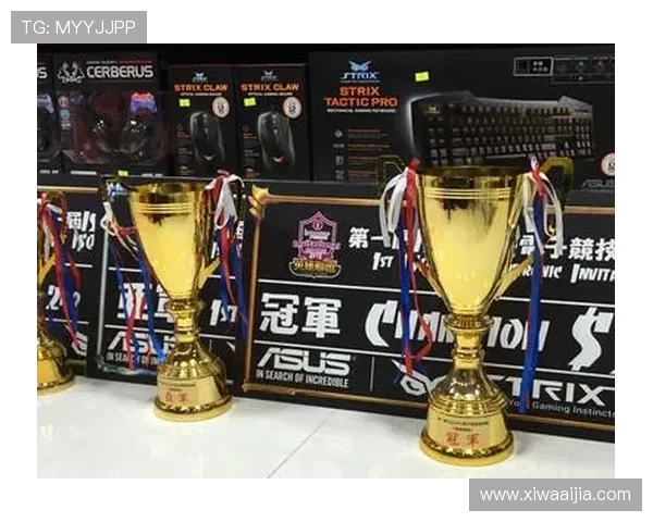 开云体育电子游戏平台的技术支持与客户服务体系全面升级