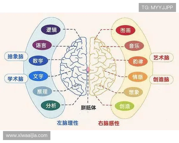 开运滚球的风水原理与提升个人运势的最佳实践 开运滚球的风水原理与提升个人运势的最佳实践