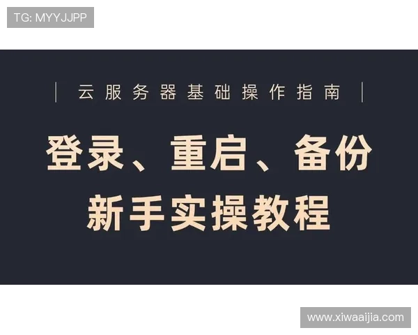 掌握开云真人版全站登录基础技巧，快速解决登录中遇到的各种问题