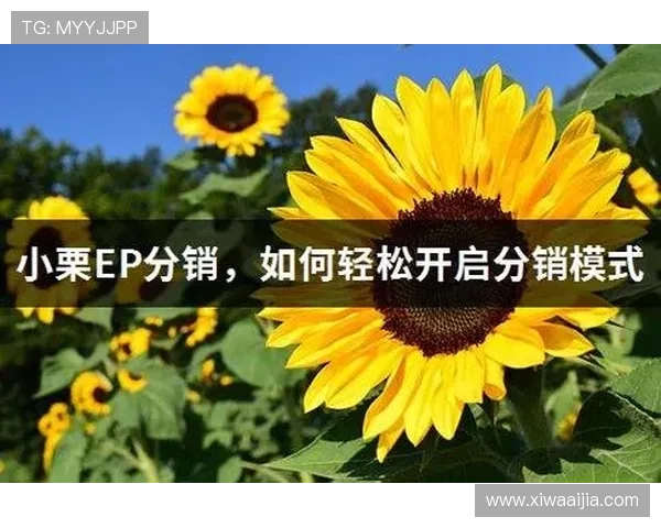 开运体育app网页版如何快速注册登录，轻松开启你的专业体育竞猜之旅